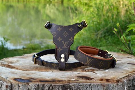 dog harness louis vuitton|louis vuitton collar for dog.